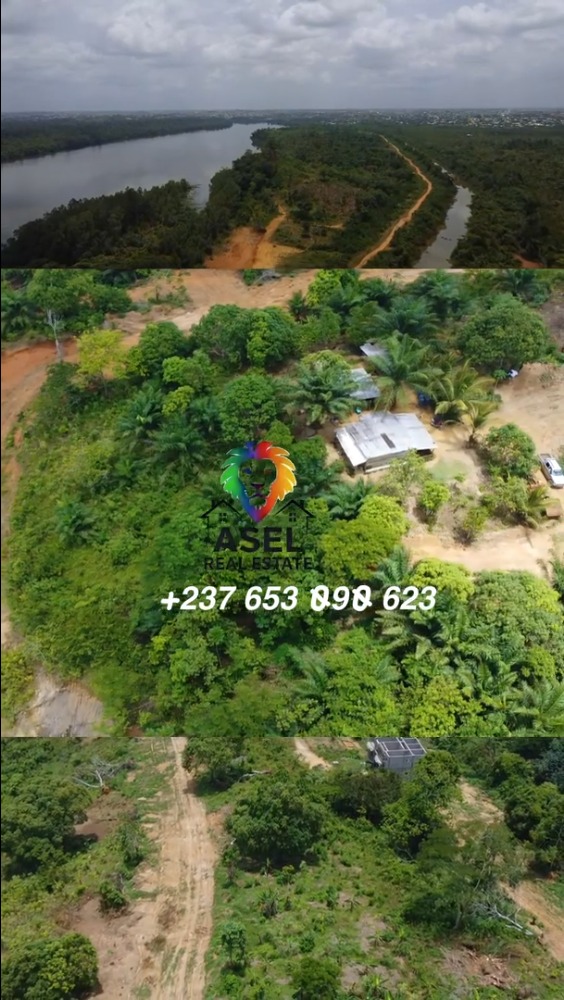 Douala — PK 14 — 3