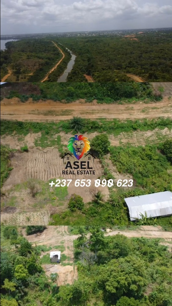 Douala — PK 14 — 1